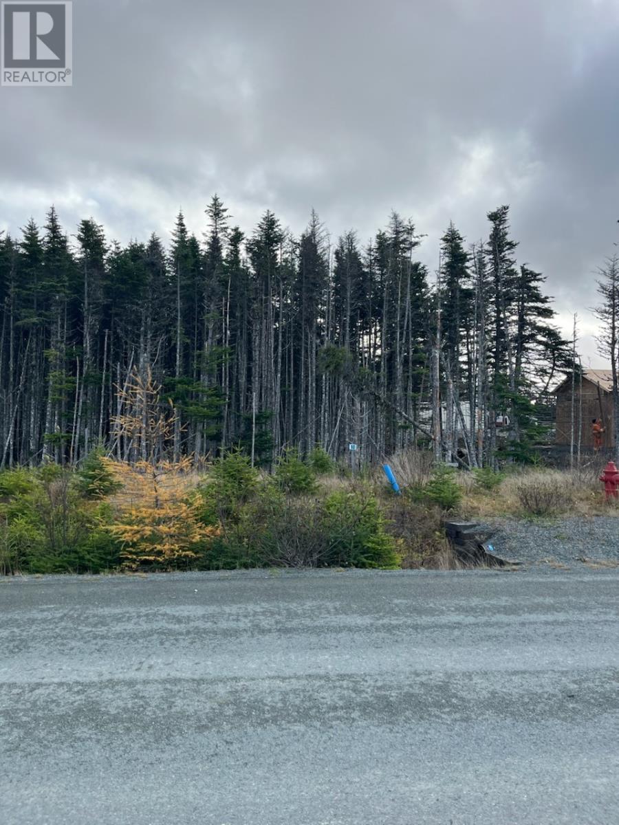 20 Keeley Lane, Portugal Cove-St. Philip's