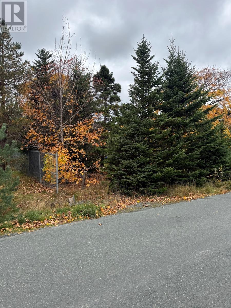 32c Cluneys Road, Conception Bay South