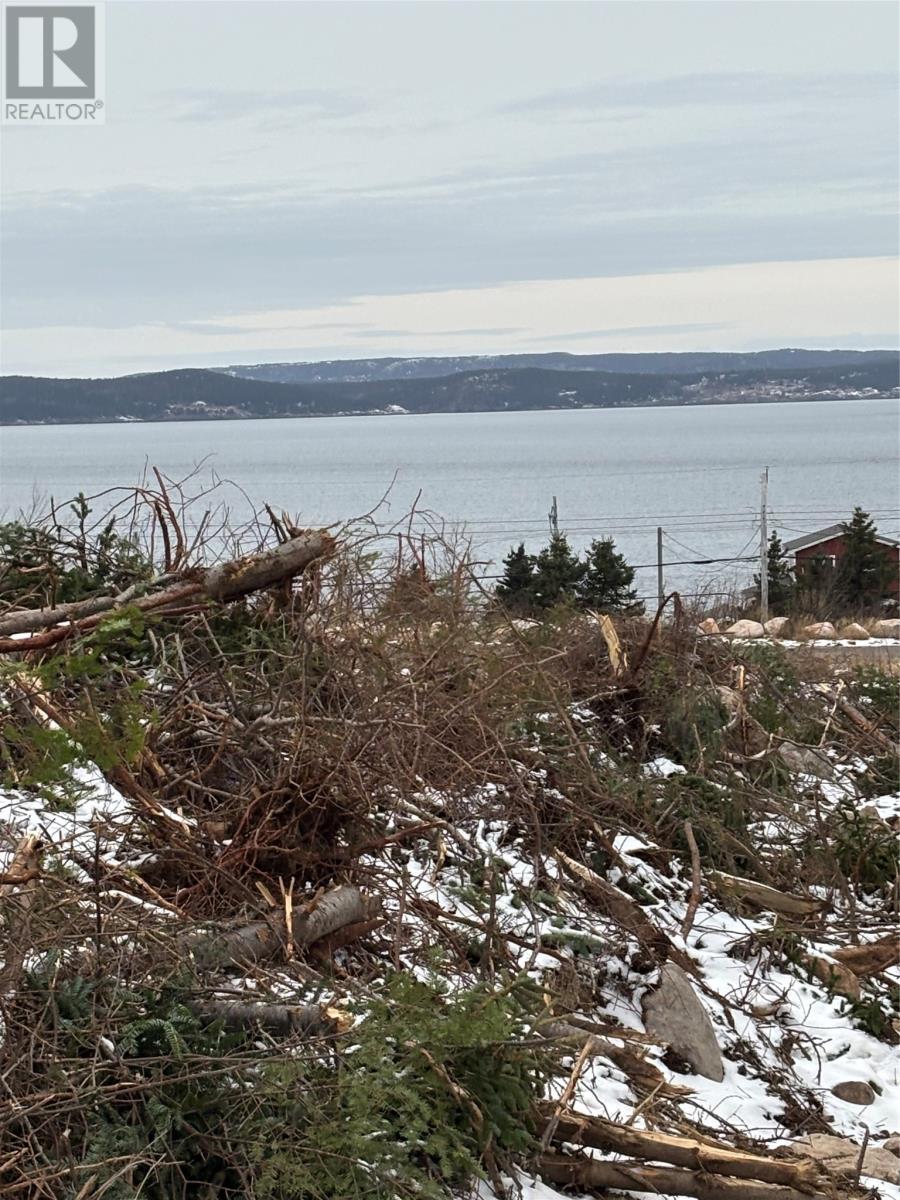 Lot 1 Silas Morgan Estates, Conception Bay South