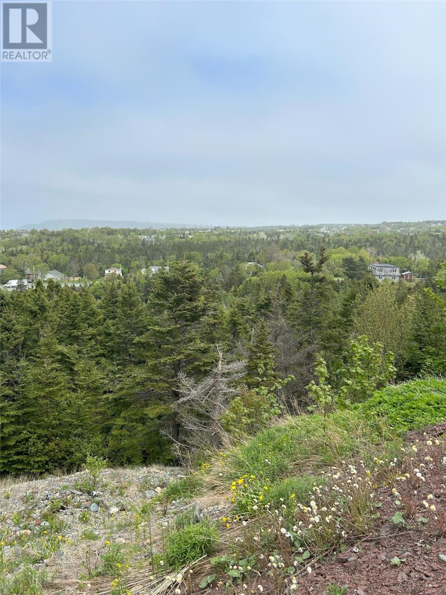 41-43 Easons Road, Conception Bay South