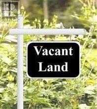 197b Freshwater Road, St. John's