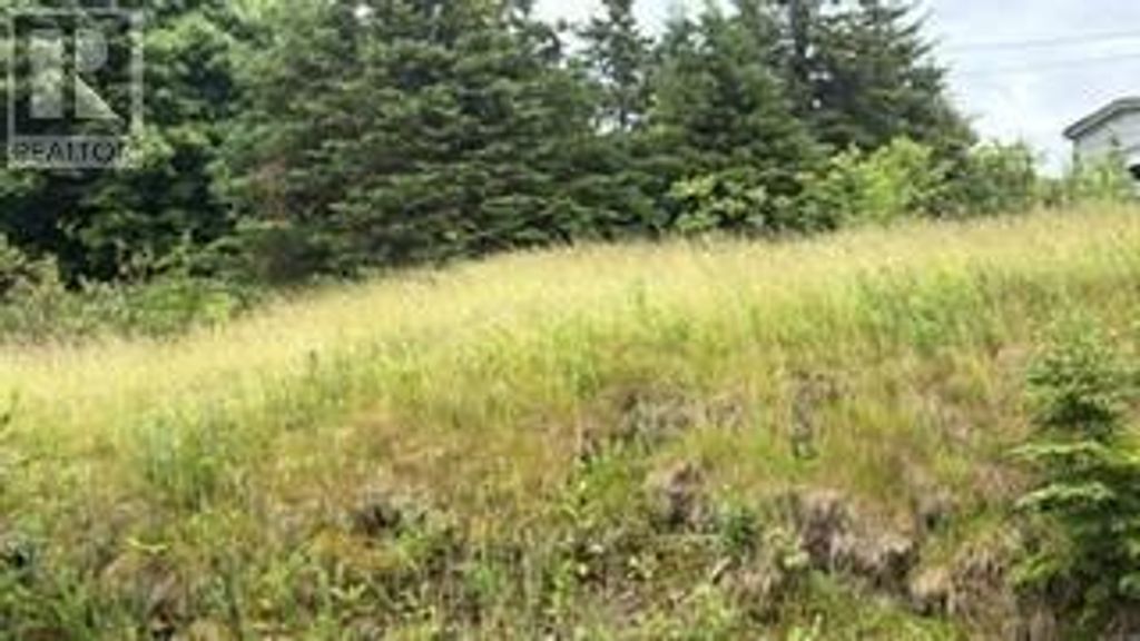 #37 Neary's Pond Road, Portugal Cove-St. Philip's