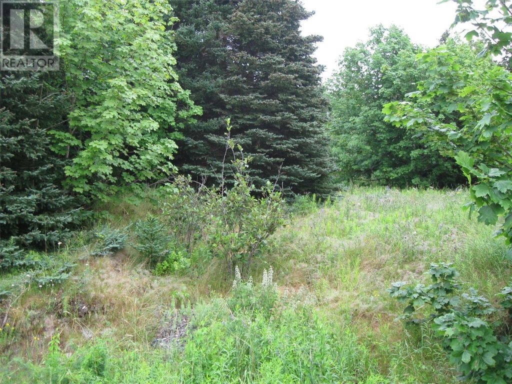 56 N Robert's Road N, Conception Bay South