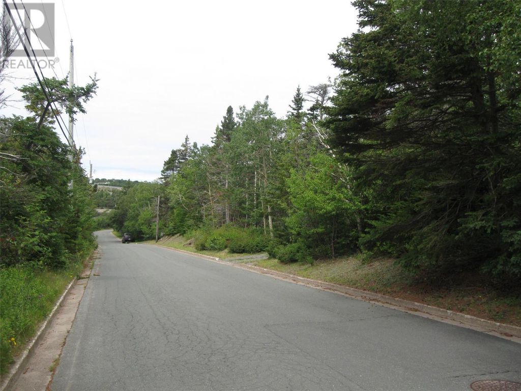 53 A Lawrence Pond Road E, Conception Bay South
