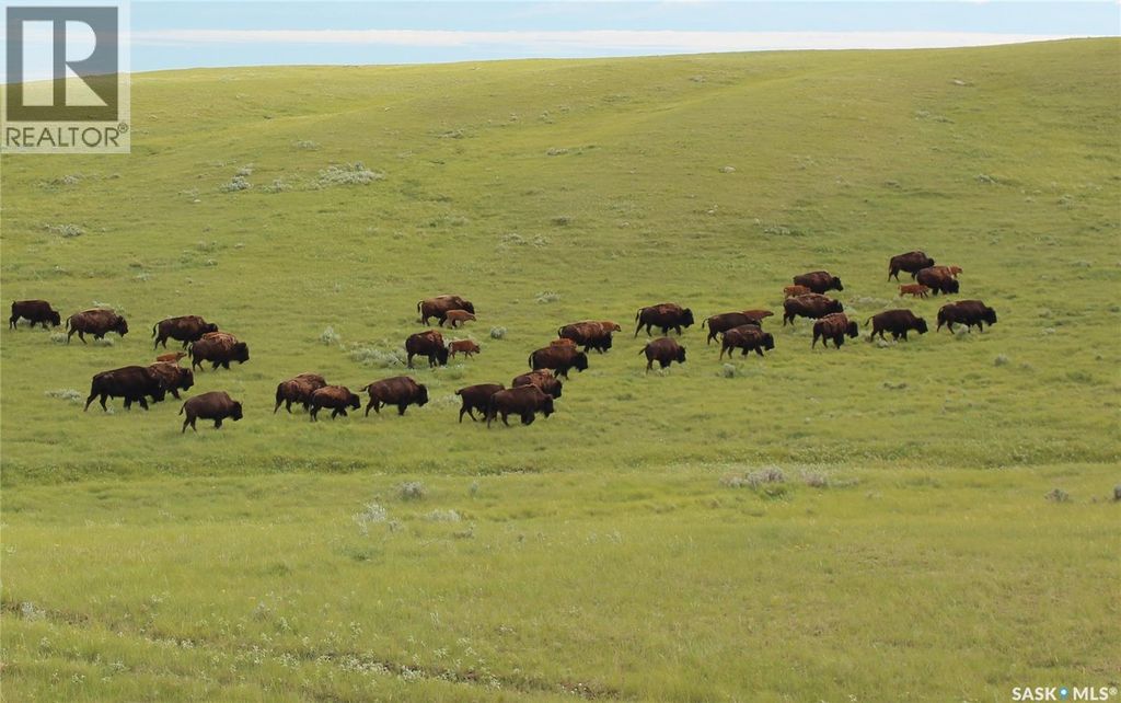 925 Acres Pasture Near Admiral, Wise Creek Rm No. 77