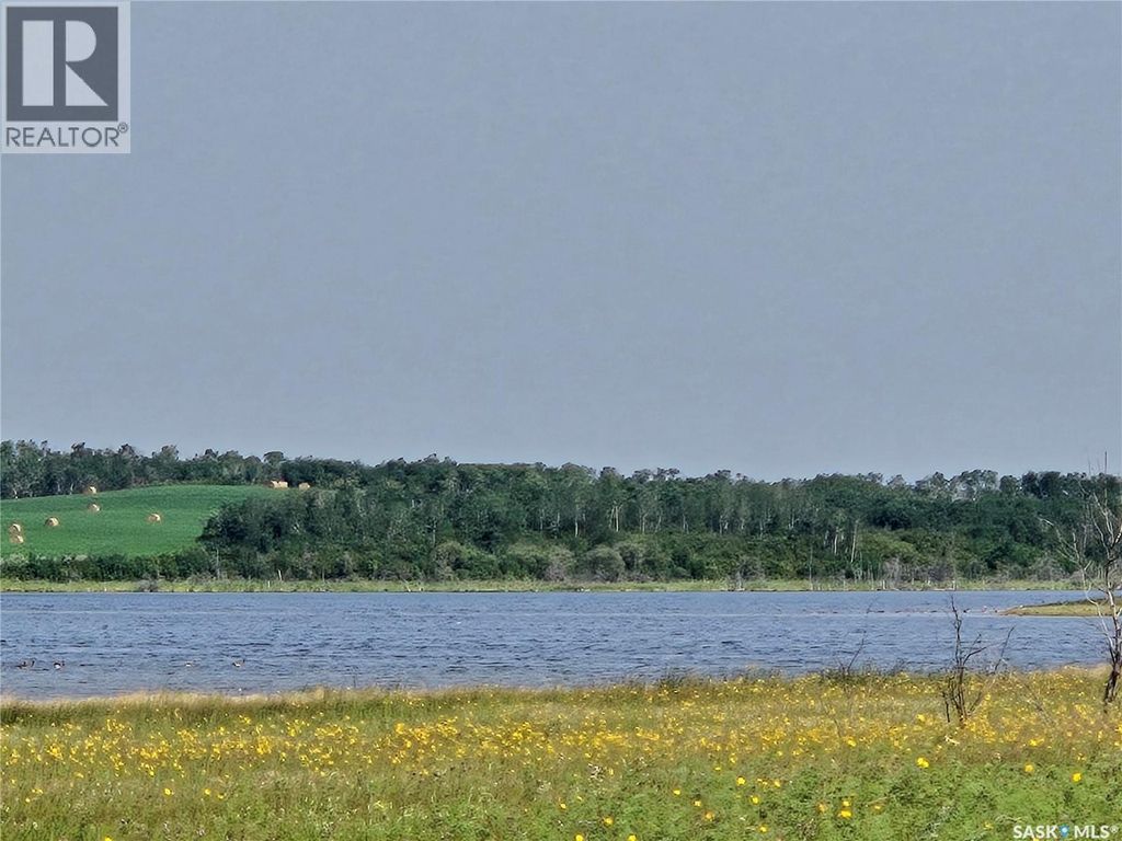 Laroque Land, Duck Lake Rm No. 463