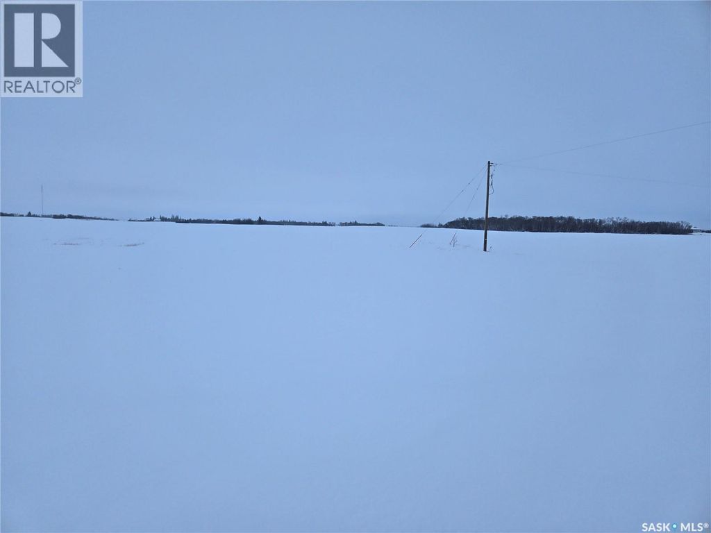 Olsen Quarter, Birch Hills Rm No. 460