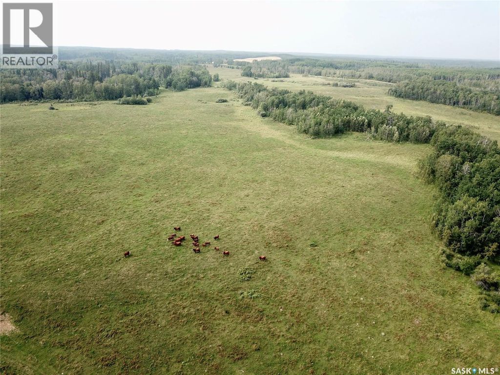 Page Pasture Half Section - N 1/2 Of 31-50-08-w3, Spiritwood Rm No. 496
