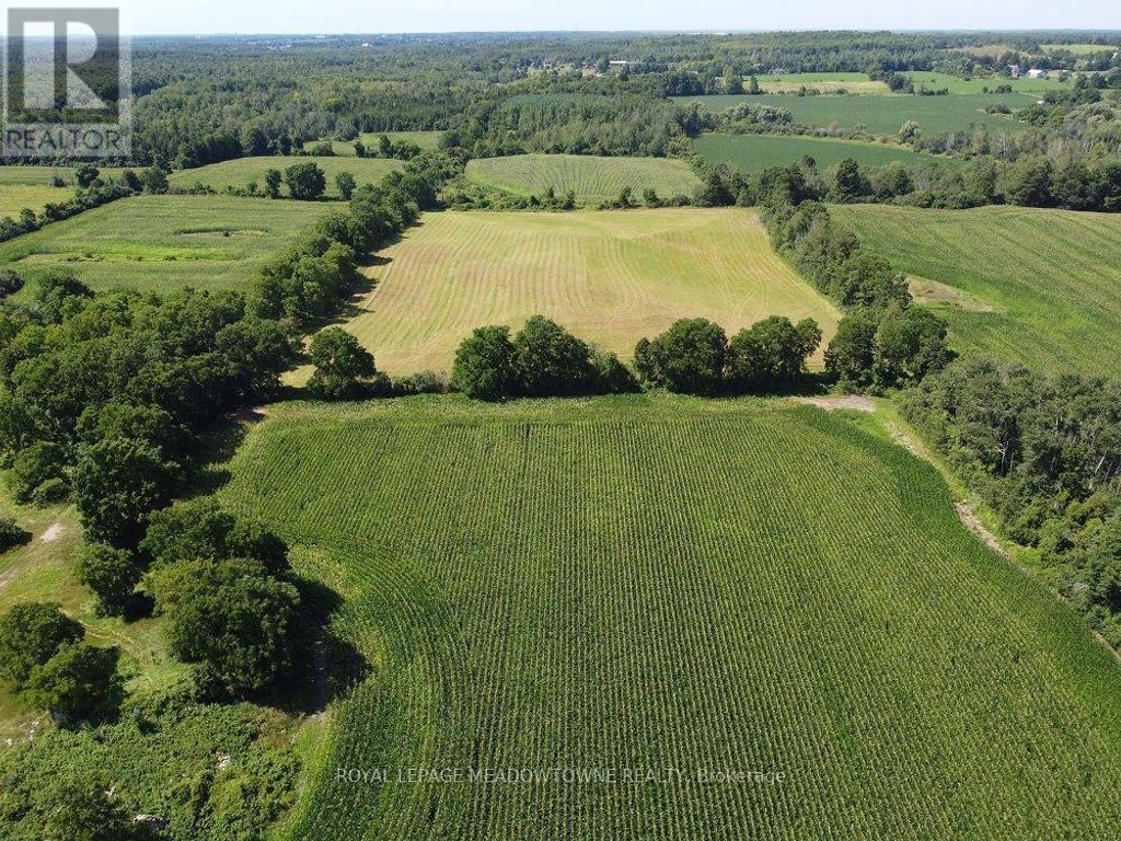 11080 First Line Nassagaweya, Milton