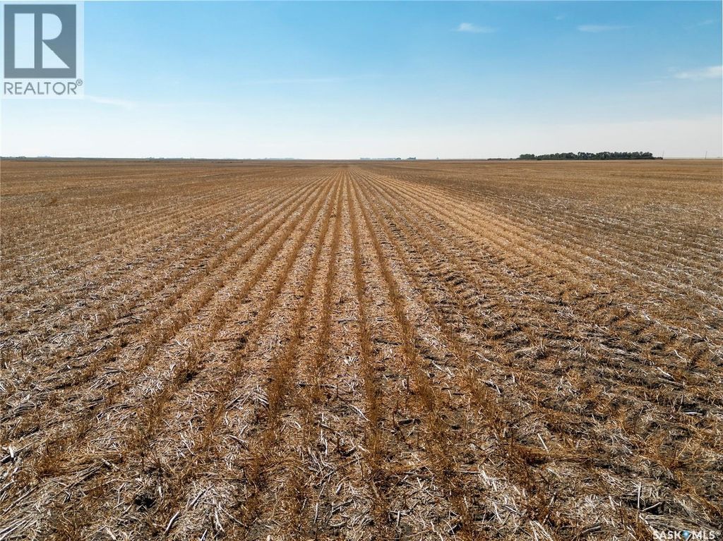 305 Acres - Sedley, Francis Rm No. 127
