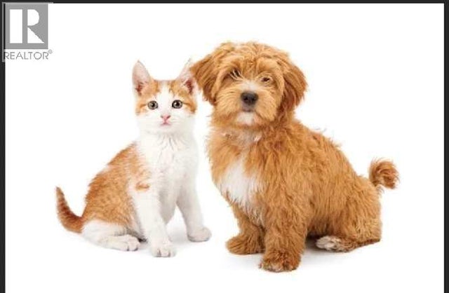 123 Pet Specialty With Grooming Way, Edmonton