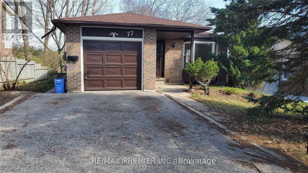 Bsmt - 77 Fox Run, Barrie (letitia Heights)