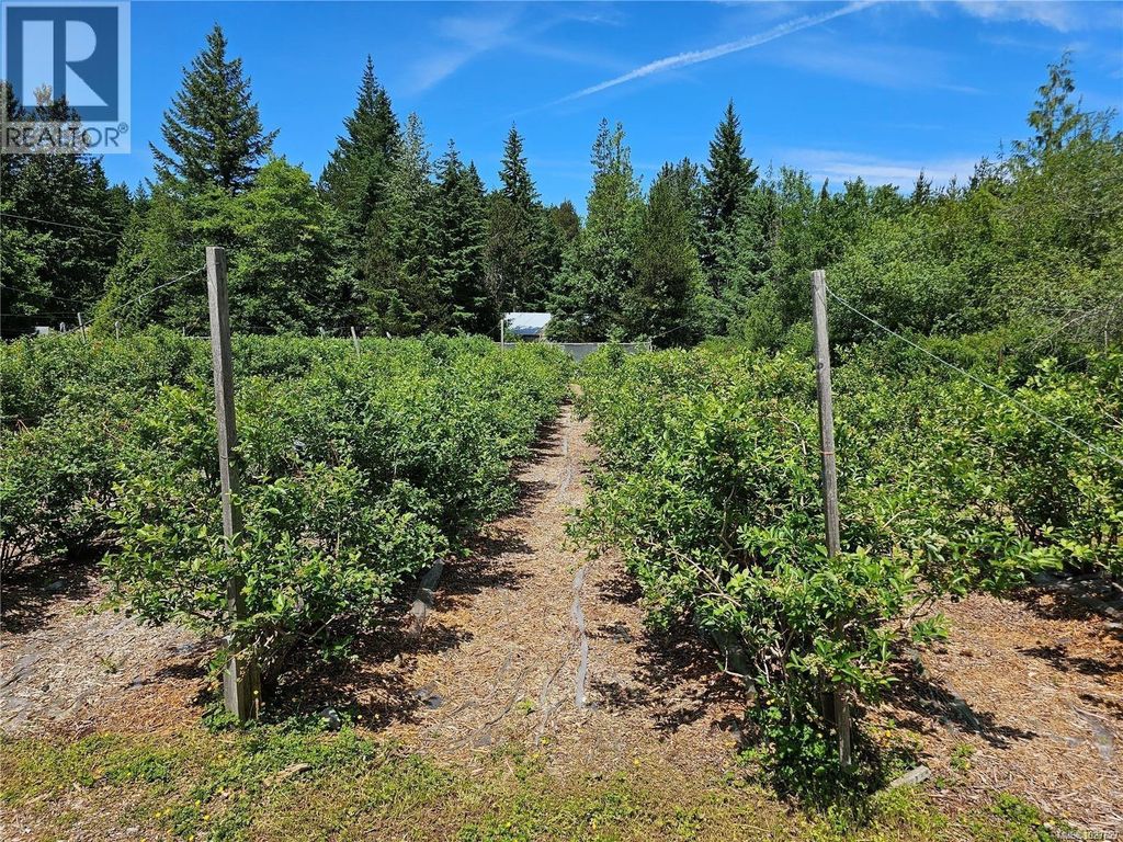 2156 Coleman Rd, Courtenay