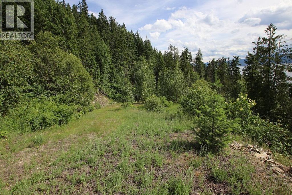 5959 Highway 23, Nakusp