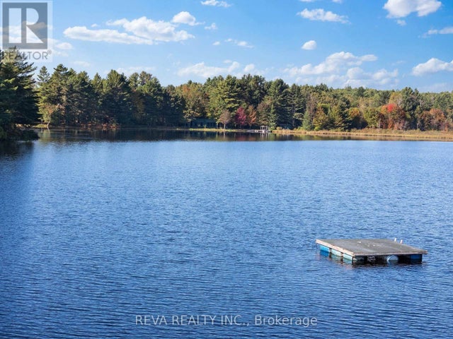 368 Addington Road, Addington Highlands (addington Highlands)