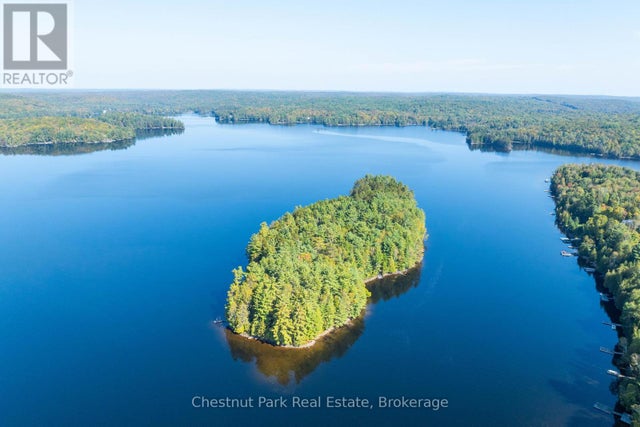 10000 Soyers - Brown Island, Minden Hills (minden)