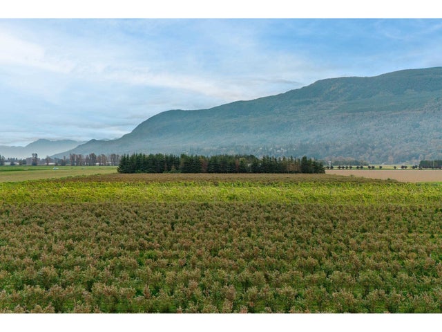 3387 Tolmie Road, Abbotsford