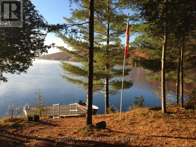 1117 Thunderbird Lane, Birch Island, Highlands East (bicroft Ward)