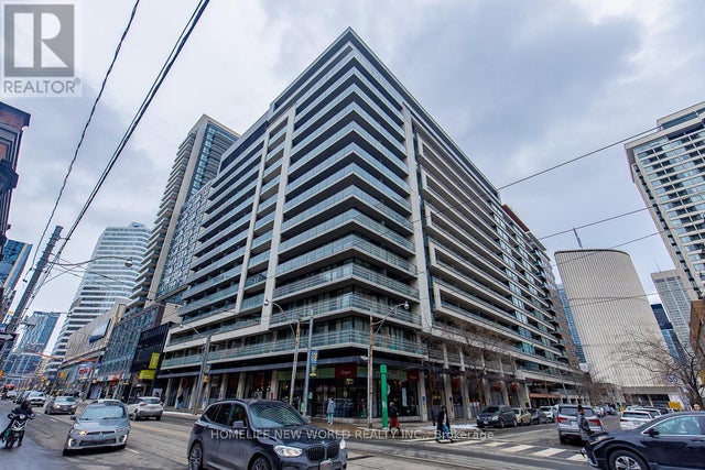 1050 - 111 Elizabeth Street, Toronto (bay Street Corridor)