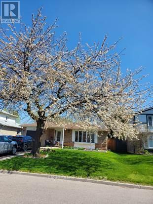 71 Grassington Crescent, Brampton (northgate)