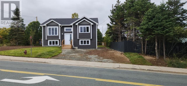 202 Fowlers Road, Conception Bay South