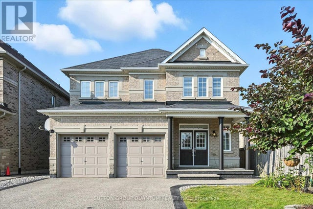 167 Alessio Drive, Hamilton (sheldon)