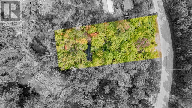 260 Edwina Drive, Trent Lakes