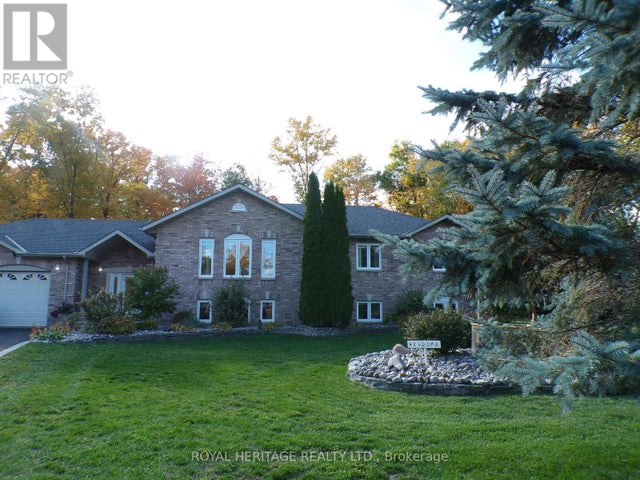 10 Vicari Road, Brighton