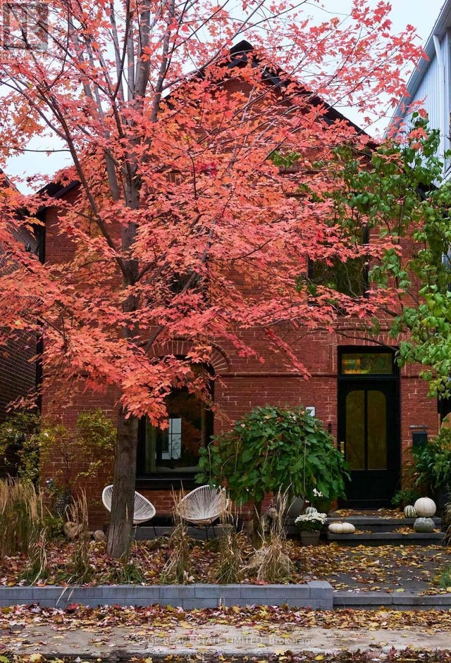 239 Borden Street, Toronto (university)