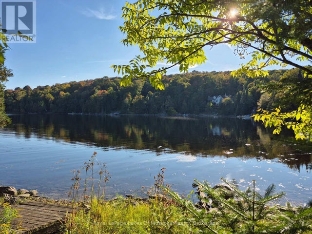 1236 Grace Road, Minden Hills (minden)