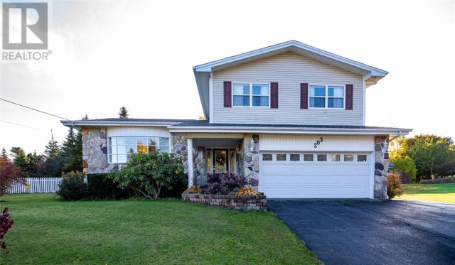 203 Thorburn Road, St.john's