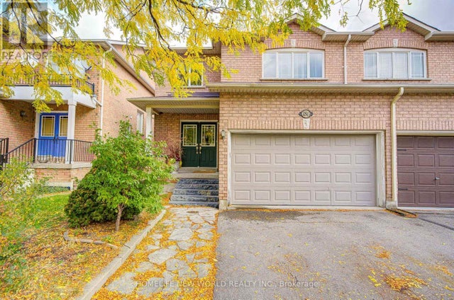 186 Solway Avenue, Vaughan (maple)