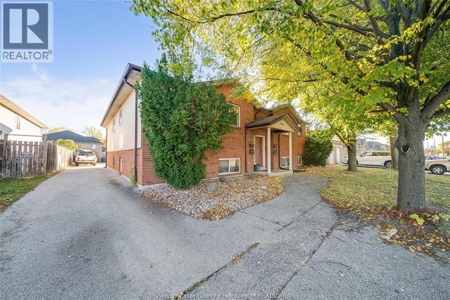 1970 Daytona, Windsor