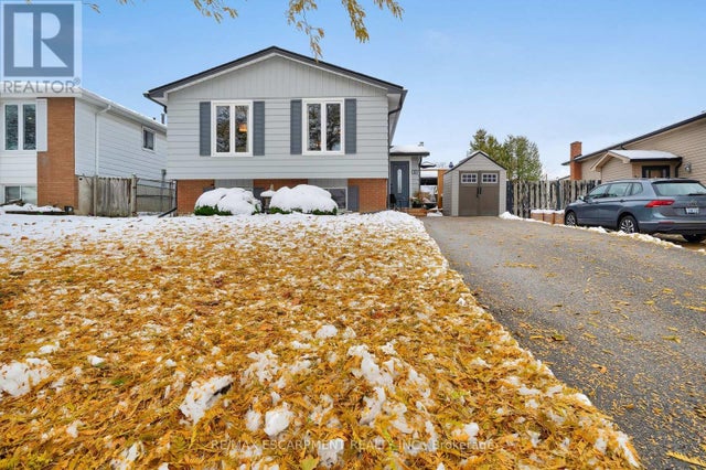 31 Raleigh Street, Hamilton (quinndale)