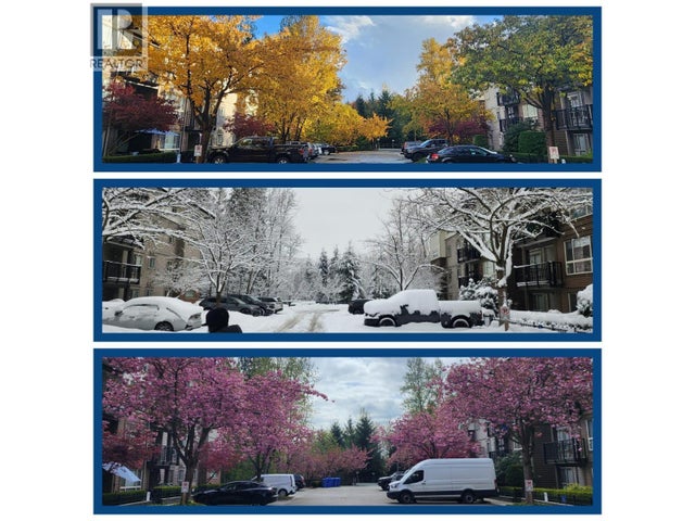 101 11665 Haney Bypass, Maple Ridge