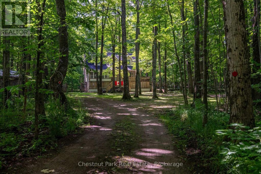 89 Tammys Cove Road, Northern Bruce Peninsula