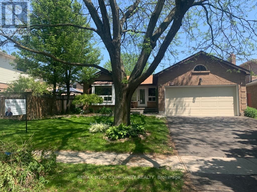 Basement - 371 Selby Crescent, Newmarket (bristol-London)