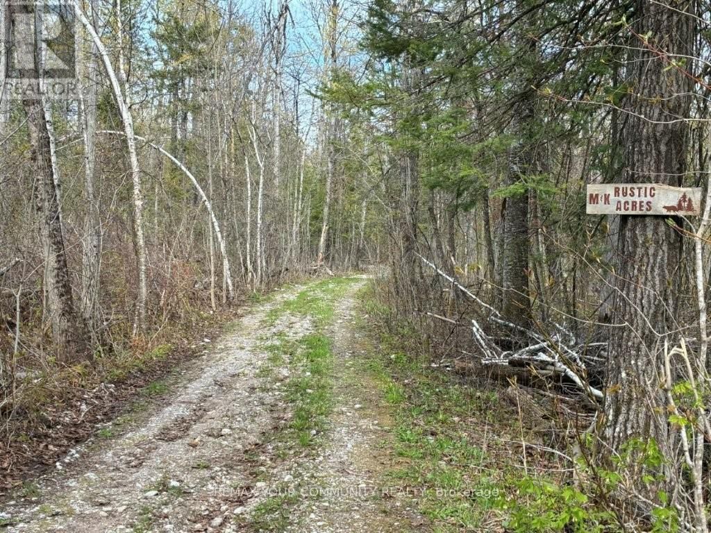 92 Bessie Avenue N, Trent Lakes