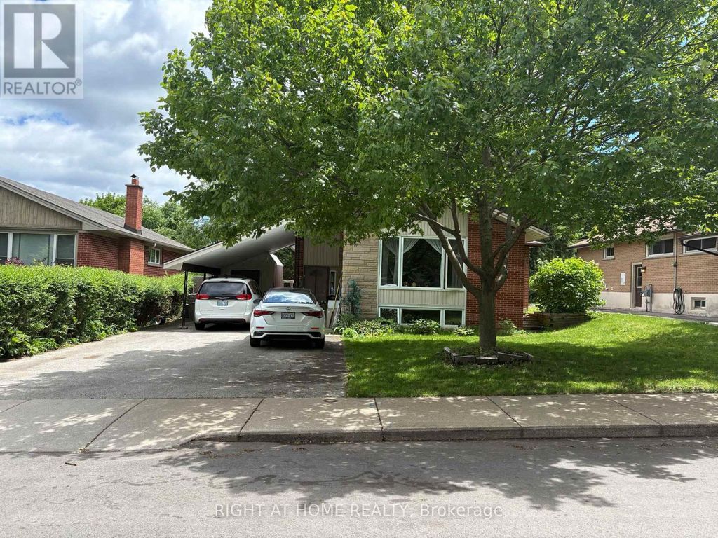 82 Blackwood Crescent, Hamilton (ainslie Wood)