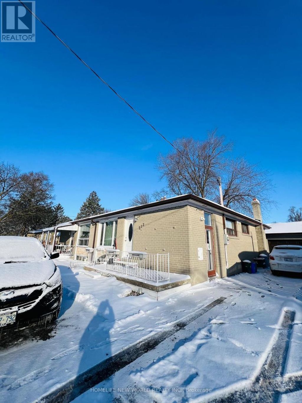 Basement - 213 Beechy Drive, Richmond Hill (crosby)
