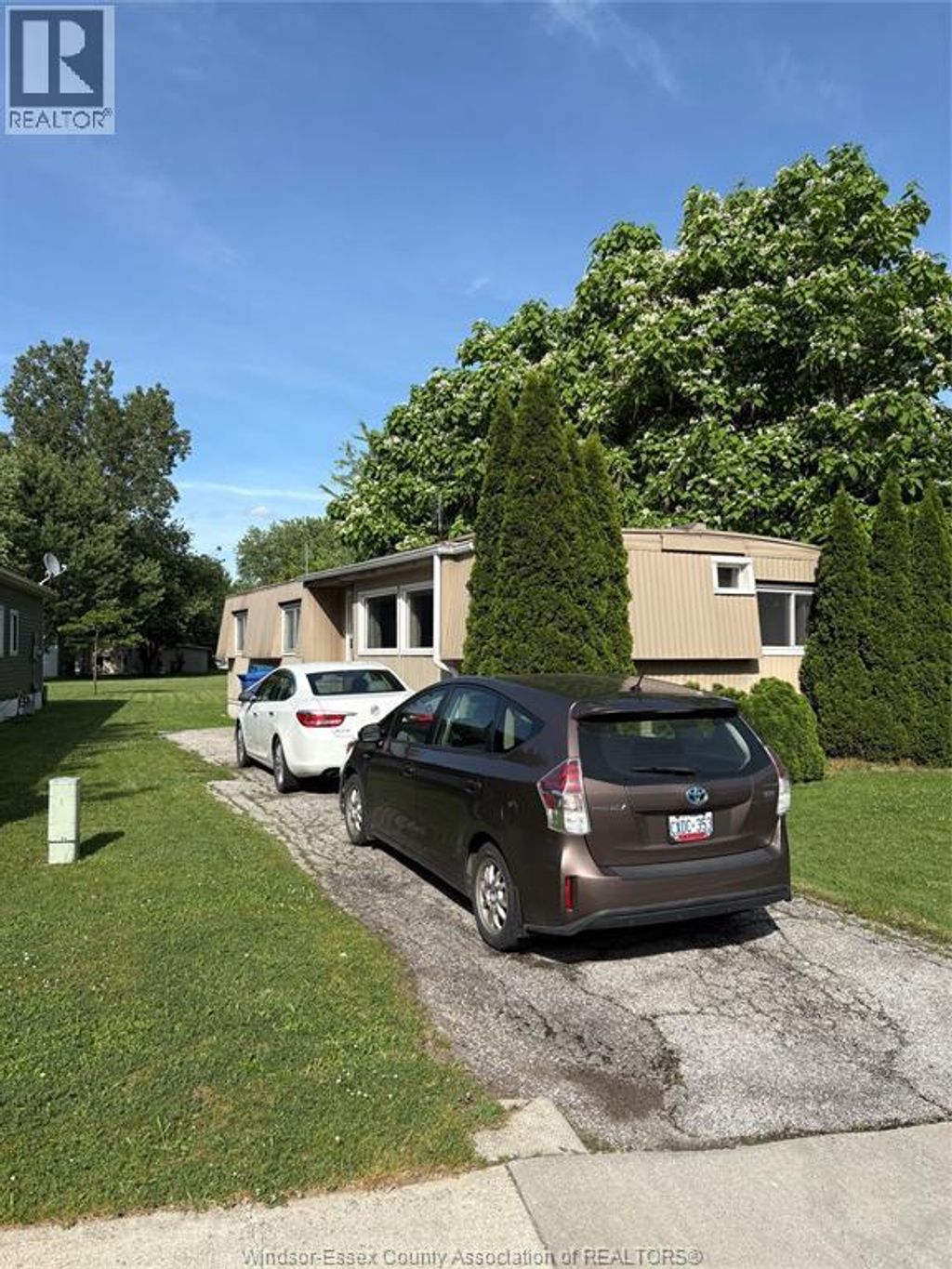 101 Dana, Essex