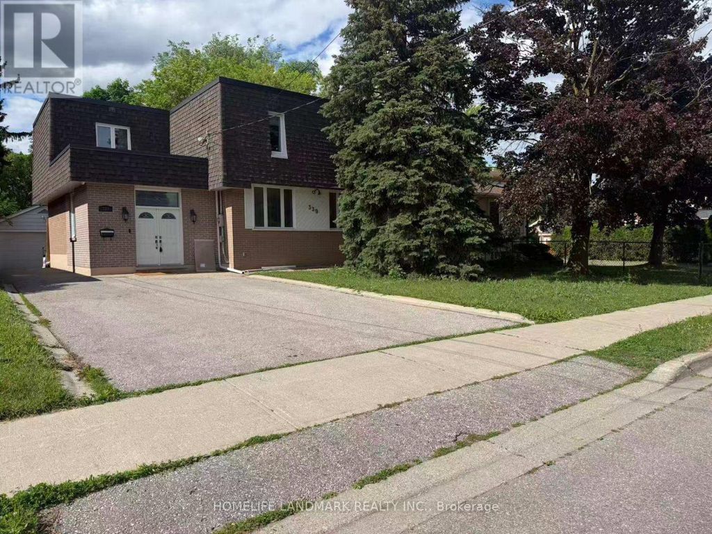 Basement - 339 Elmwood Avenue, Richmond Hill (harding)