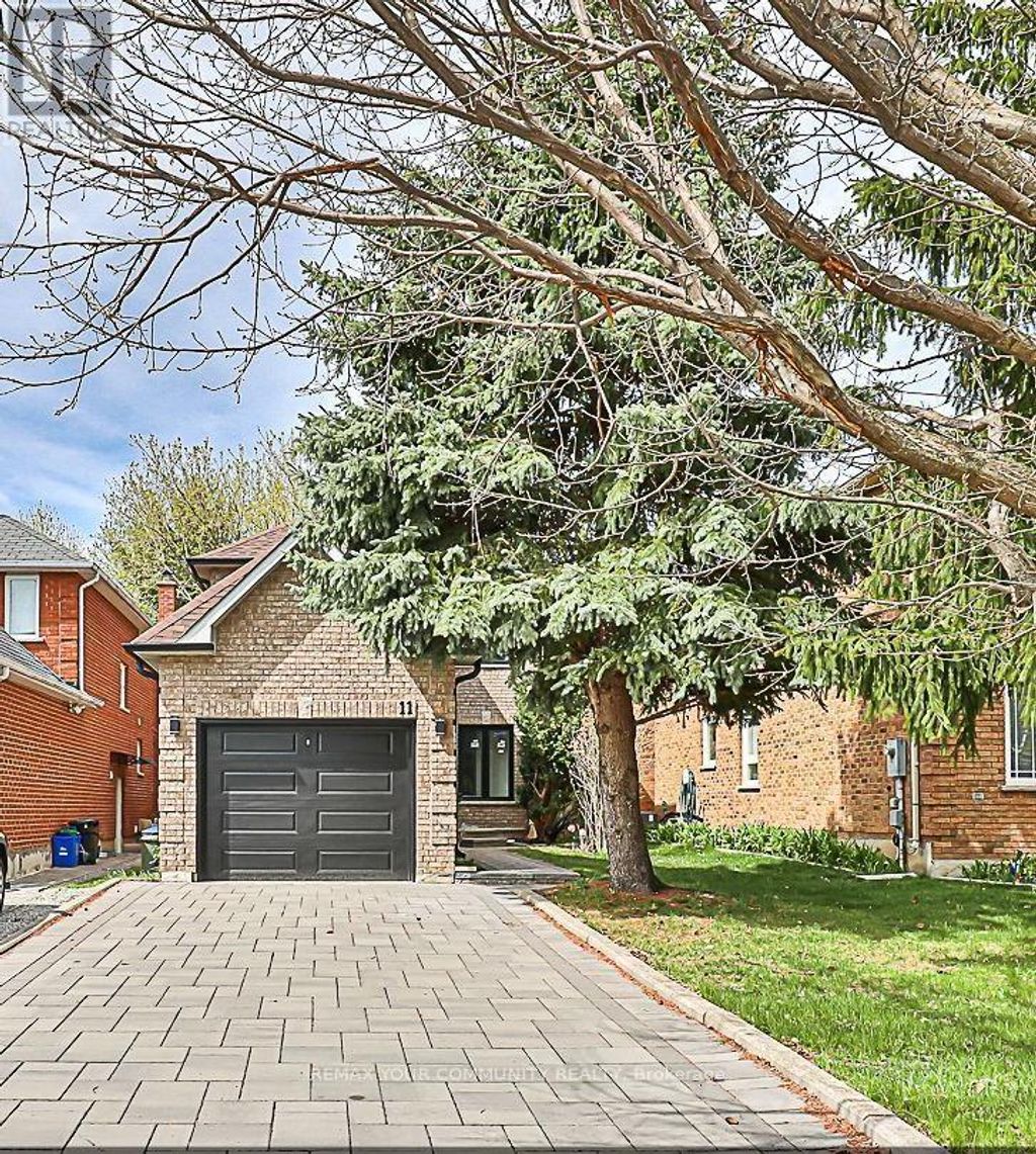 Basement - 11 Newmill Crescent, Richmond Hill (devonsleigh)