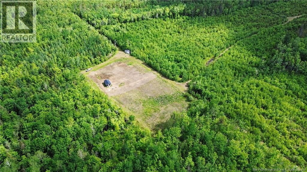 Lot/camp Sapin Court, Rogersville