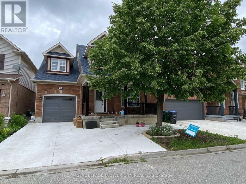 Basement - 29 Marshmarigold Drive, Brampton (fletcher's Meadow)