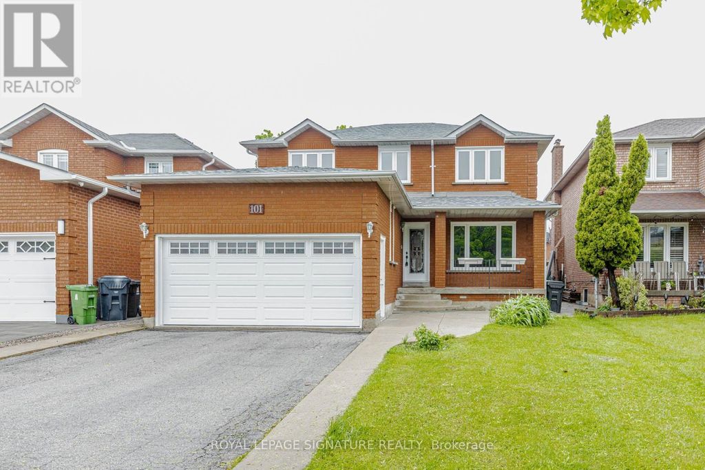 Basment - 101 Hullrick Drive, Toronto (west Humber-Clairville)
