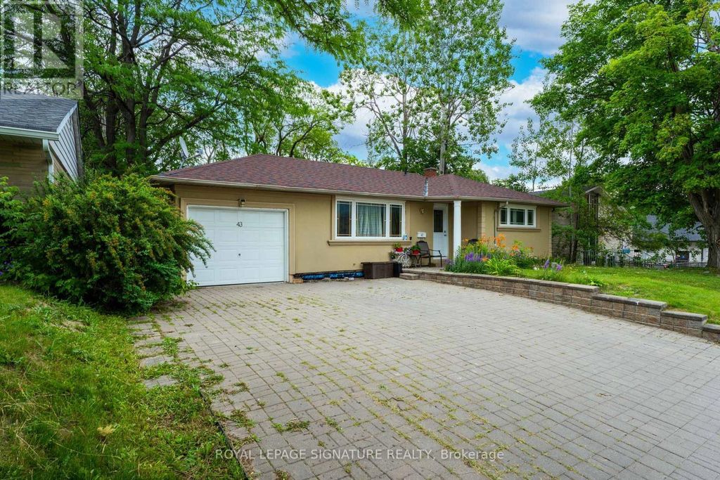 Basement - 43 Parkside Drive, Newmarket (central Newmarket)