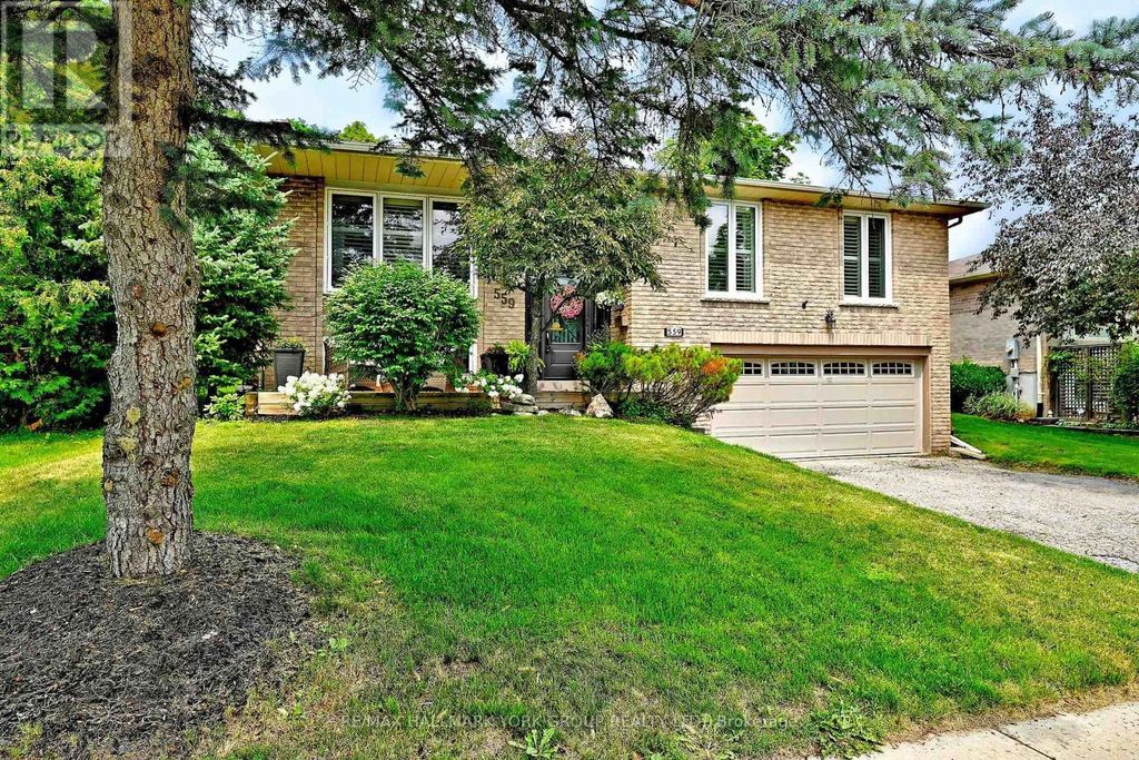 559 Haines Road, Newmarket (bristol-London)