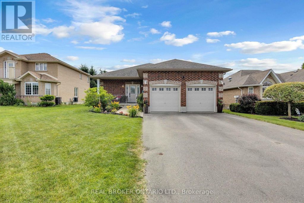 41 Harmer Crescent, Blandford-Blenheim (drumbo)