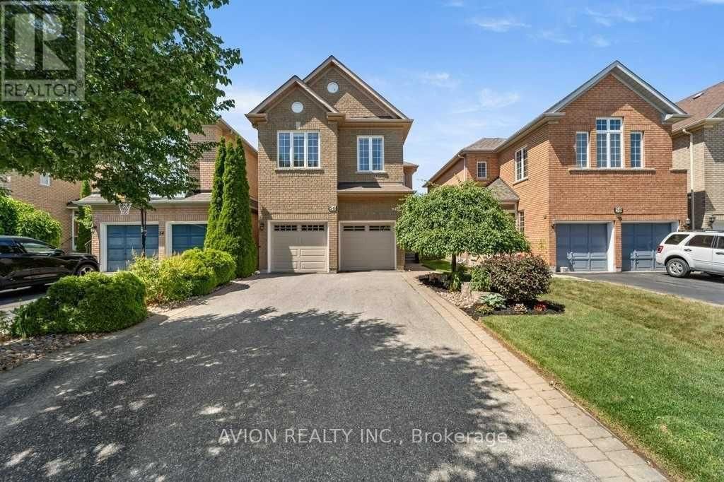 Bsmt - 56 Golden Oak Avenue, Richmond Hill (rouge Woods)